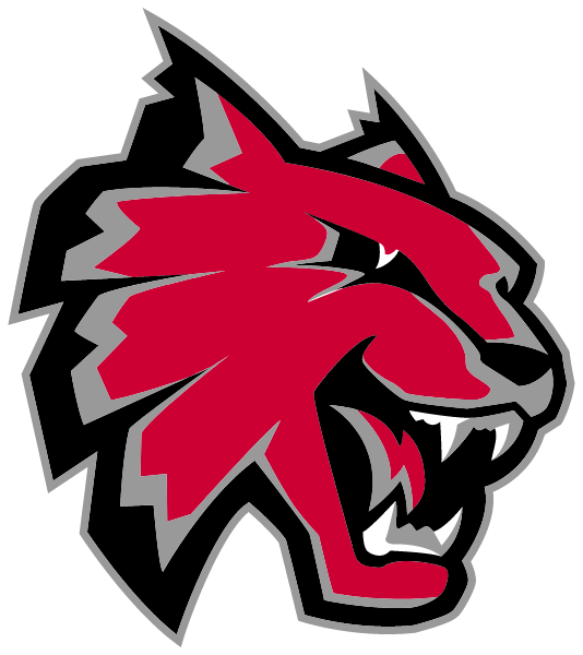 ANDREWS HIGH SCHOOL Logo