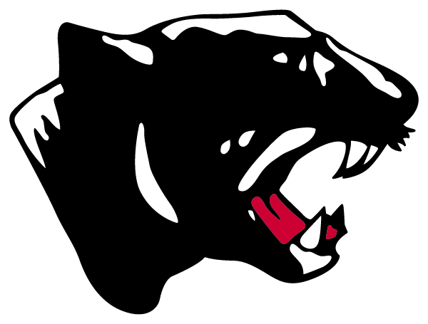 SCHUYLKILL VALLEY HIGH SCHOOL Logo