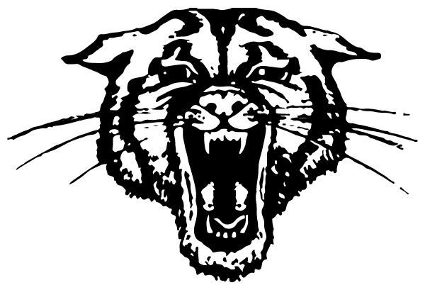 TRUMANN HIGH SCHOOL Sideline Store Wildcats (TRUMANN, ARKANSAS) Spirit Apparel & Accessories Store
