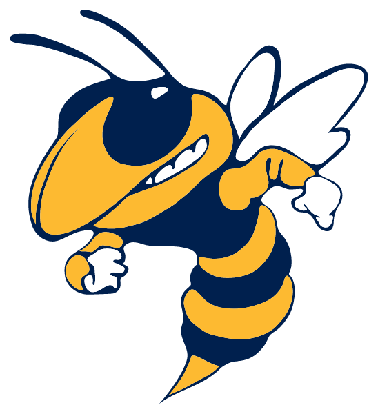 ITHACA HIGH SCHOOL Logo