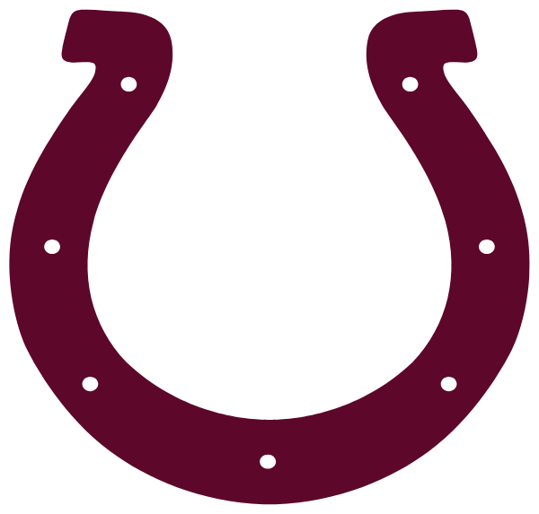 CHARLES D OWEN HIGH SCHOOL Logo