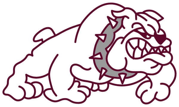 BOWMAN COUNTY HIGH SCHOOL Logo