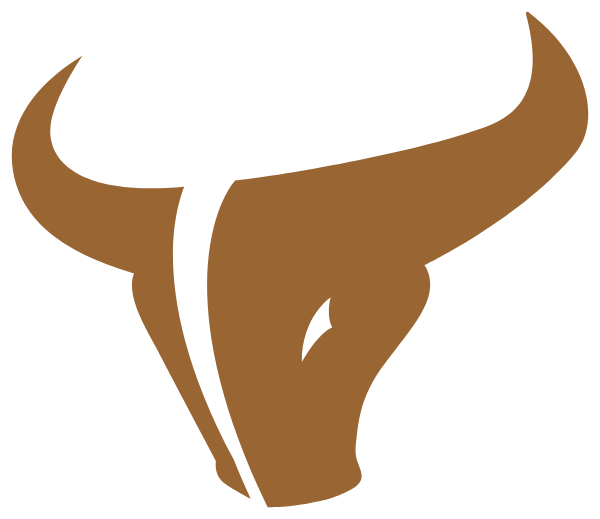 MEAD HIGH SCHOOL Logo