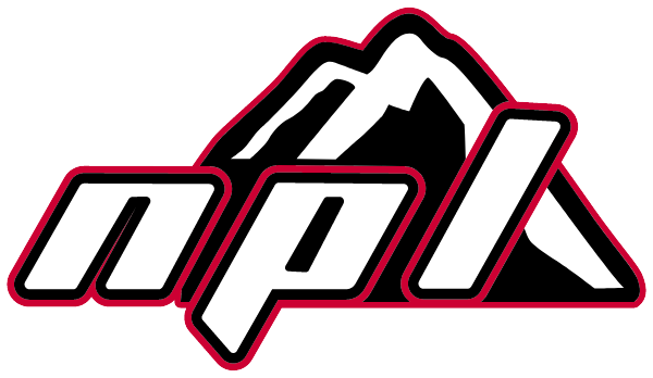 LIBERTY HIGH SCHOOL Logo