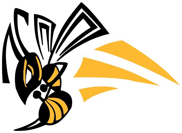 CAMAS VALLEY PUBLIC SCHOOL Logo