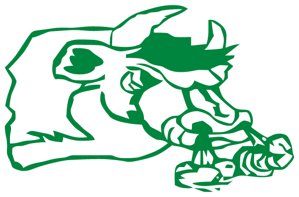FALFURRIAS HIGH SCHOOL Logo