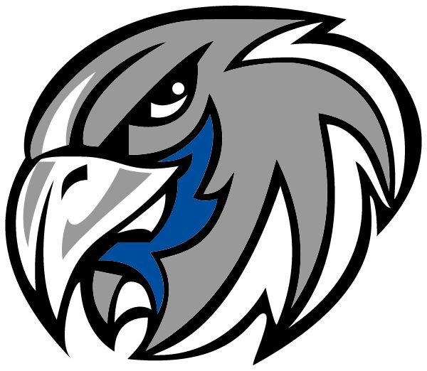 YORK HIGH SCHOOL Sideline Store Falcons (YORKTOWN, VIRGINIA) Spirit Apparel & Accessories Store