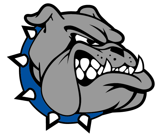 TRINITY HIGH SCHOOL Logo