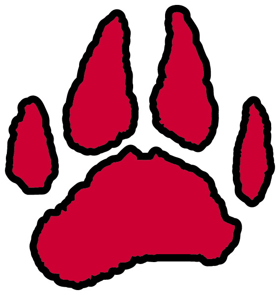 LAINGSBURG HIGH SCHOOL Logo