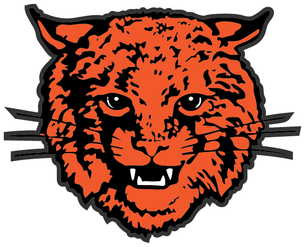 NORTHEASTERN HIGH SCHOOL Logo