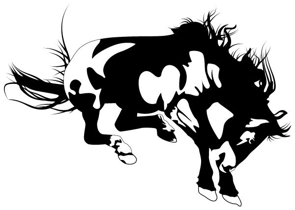 FREDERIC REMINGTON HIGH SCHOOL Sideline Store Broncos (WHITEWATER, KANSAS) Spirit Apparel & Accessories Store