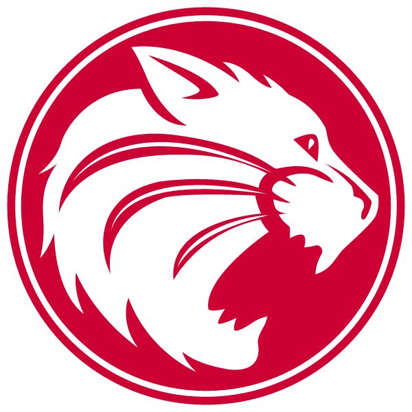 HOUSTON SCHOOLS Sideline Store Wildcats (HOUSTON, OHIO) Spirit Apparel & Accessories Store