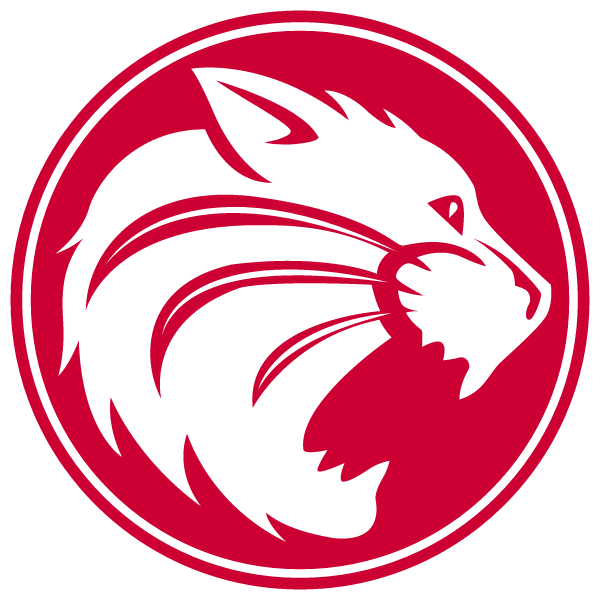 HOUSTON SCHOOLS Logo