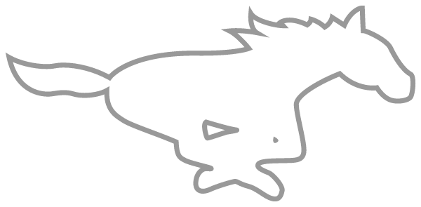 FORT HANCOCK HIGH SCHOOL Logo