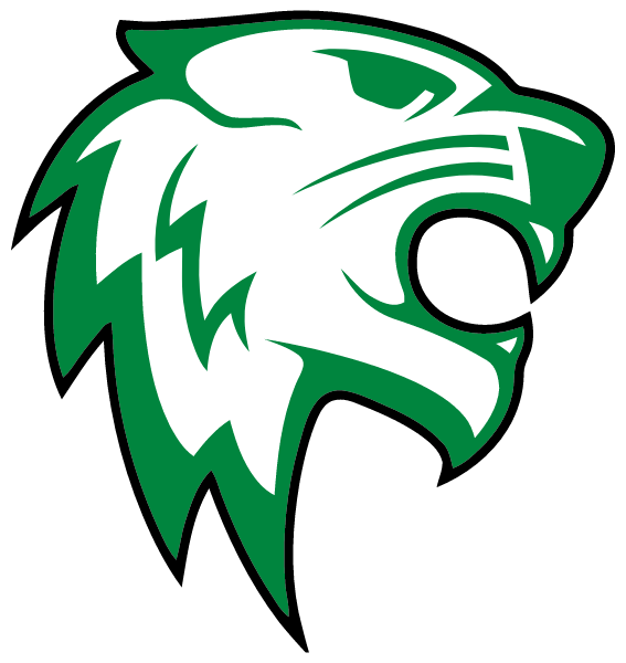 SOUTH SUMMIT HIGH SCHOOL Logo