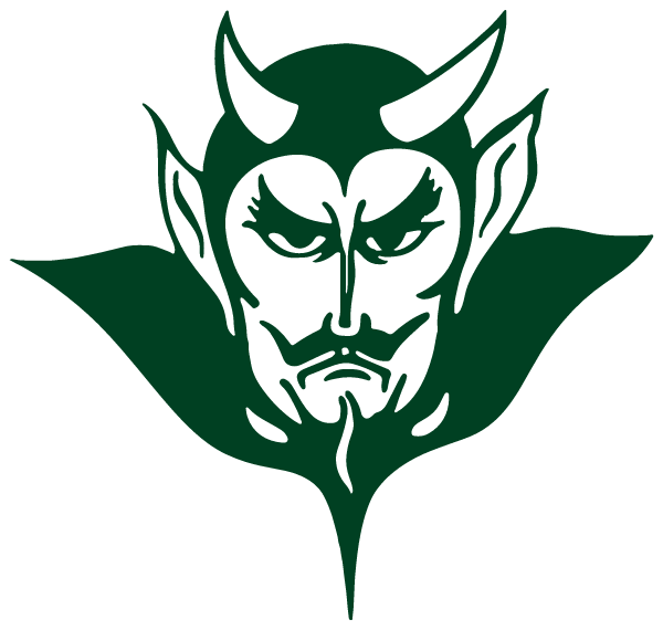 SAINT PETERSBURG HIGH SCHOOL Logo