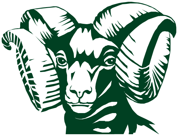 GRAYSLAKE CENTRAL HIGH SCHOOL Logo