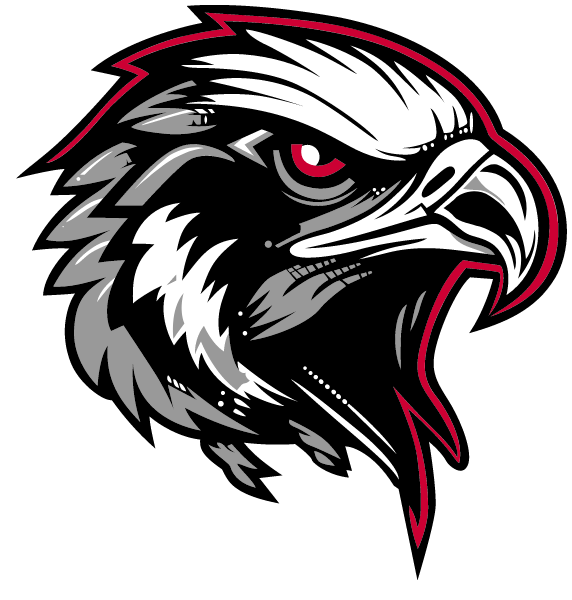NORTH BUNCOMBE HIGH SCHOOL Logo