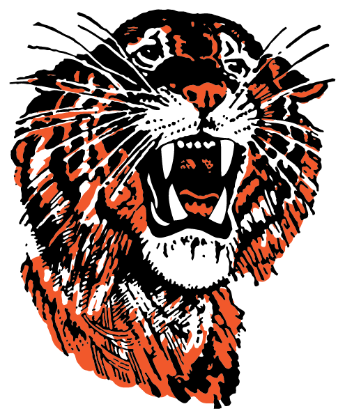 IRONTON HIGH SCHOOL Logo