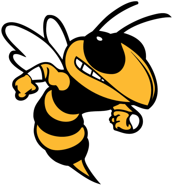 ST ELIZABETH HIGH SCHOOL Logo