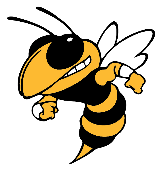 WYNNE HIGH SCHOOL Logo