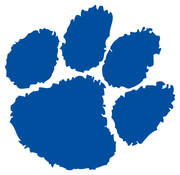 PITKIN HIGH SCHOOL Logo
