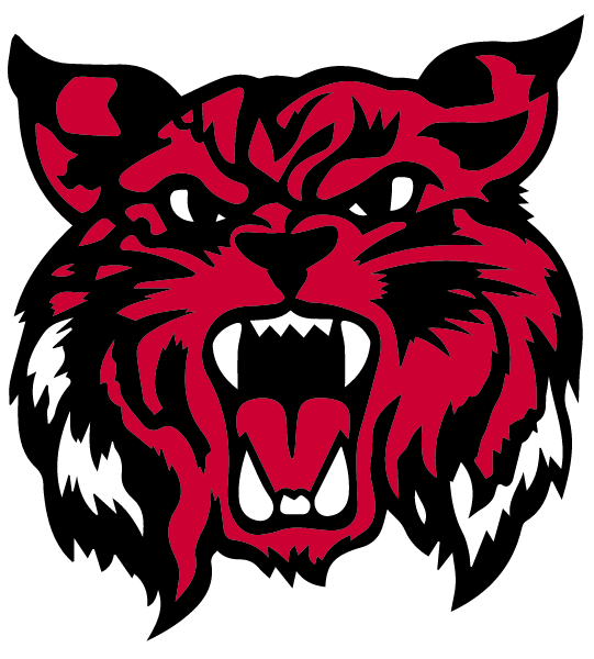 RICEVILLE HIGH SCHOOL Logo