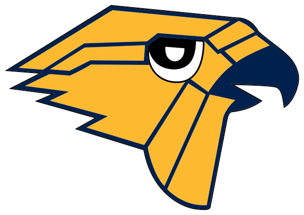 HILLSDALE HIGH SCHOOL Logo