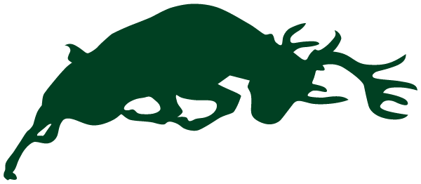 PINE RIVER HIGH SCHOOL Logo