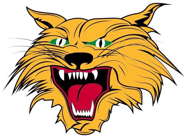 KALIDA HIGH SCHOOL Sideline Store Wildcats (KALIDA, OHIO) Spirit Apparel & Accessories Store