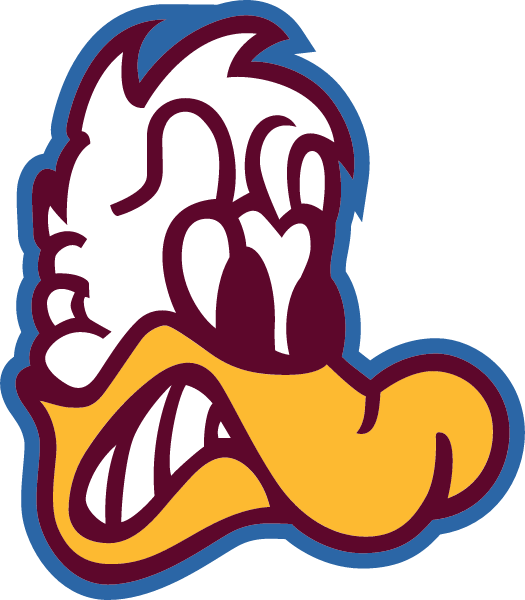 HAVANA HIGH SCHOOL Logo