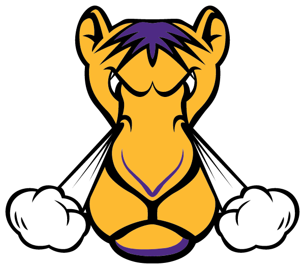 CAMPBELL COUNTY HIGH SCHOOL Logo