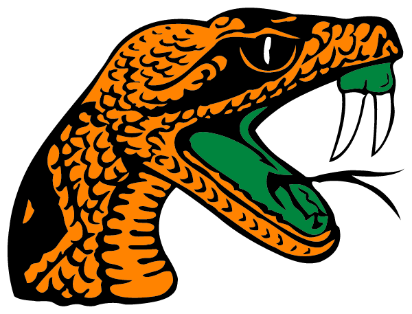 FLORIDA AMU DEVELOP RESEARCH SCHOOL Logo