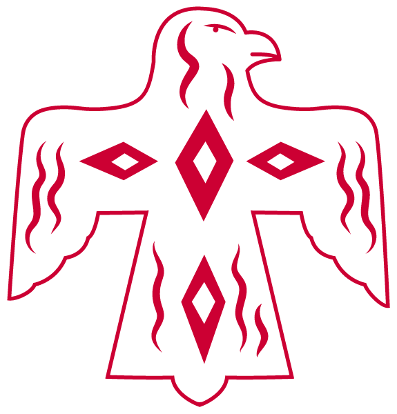 DESOTO HIGH SCHOOL Logo