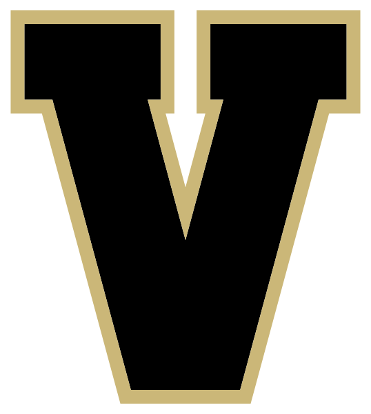 LAMAR COUNTY HIGH SCHOOL Logo