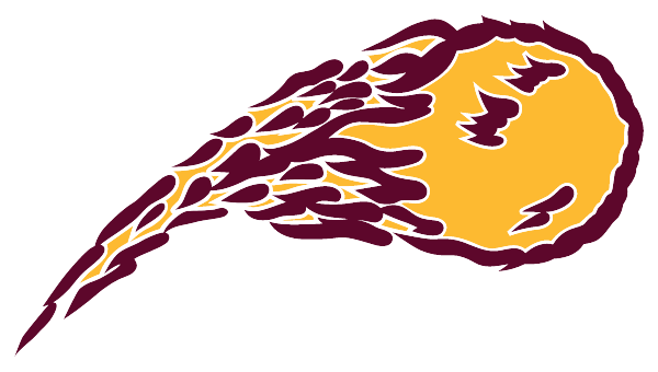 NORTHERN MICHIGAN CHRISTIAN H S Logo