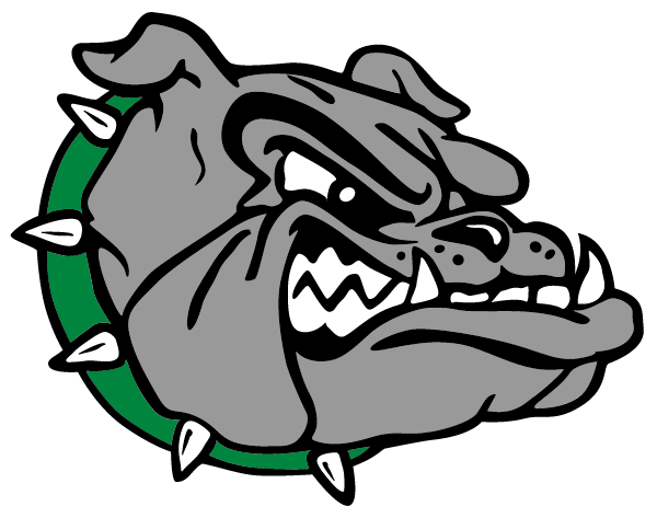 VIRGIN VALLEY HIGH SCHOOL Logo