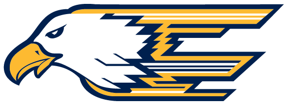 DELTA HIGH SCHOOL Logo