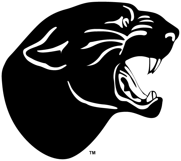 STEVENS POINT AREA Senior High school Logo
