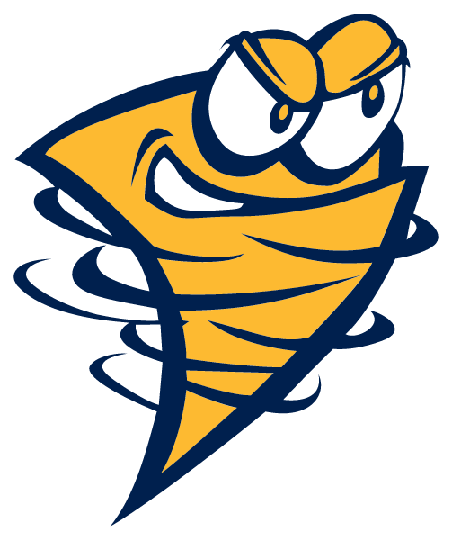 LANCASTER HIGH SCHOOL Logo