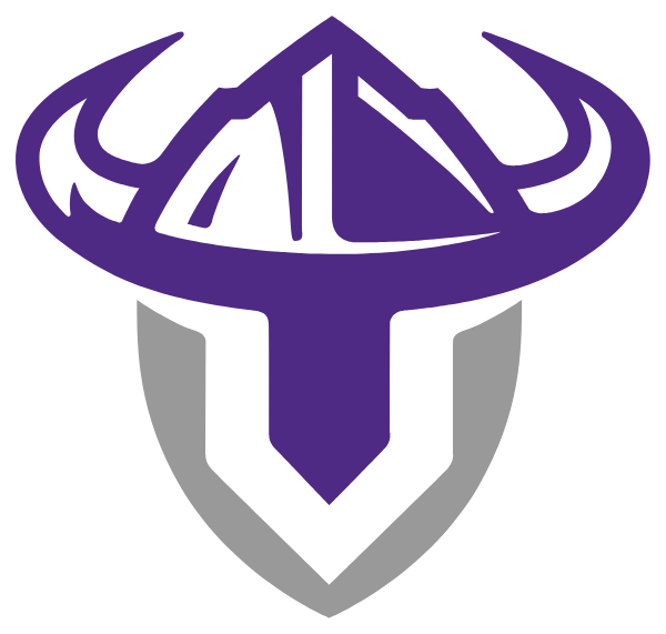 STOUGHTON HIGH SCHOOL Logo