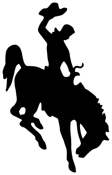 SIDNEY HIGH SCHOOL Logo