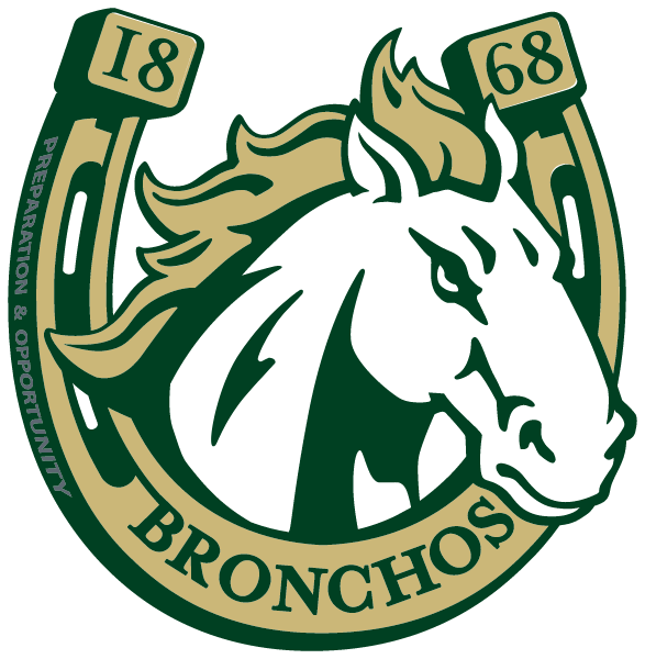 BAYLESS HIGH SCHOOL Logo