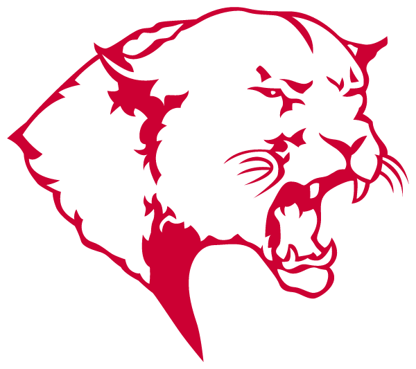 NORFORK HIGH SCHOOL Logo