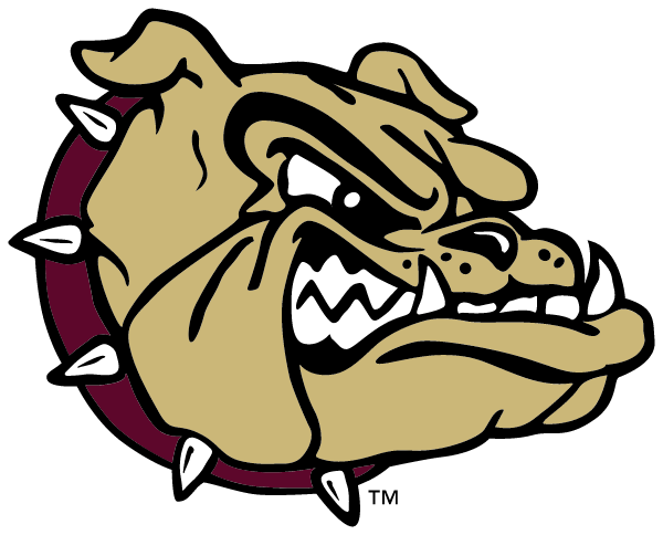 LIBERTY COUNTY HIGH SCHOOL Logo