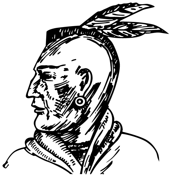BROWNSTOWN CENTRAL HIGH SCHOOL Logo