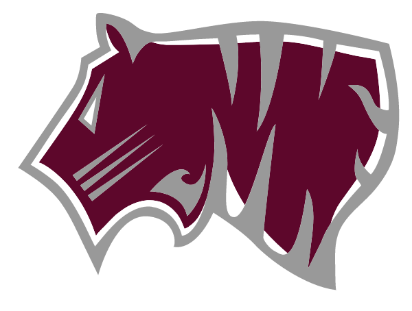 CHARLES A TINDLEY ACCELERATED SCHOOL Logo