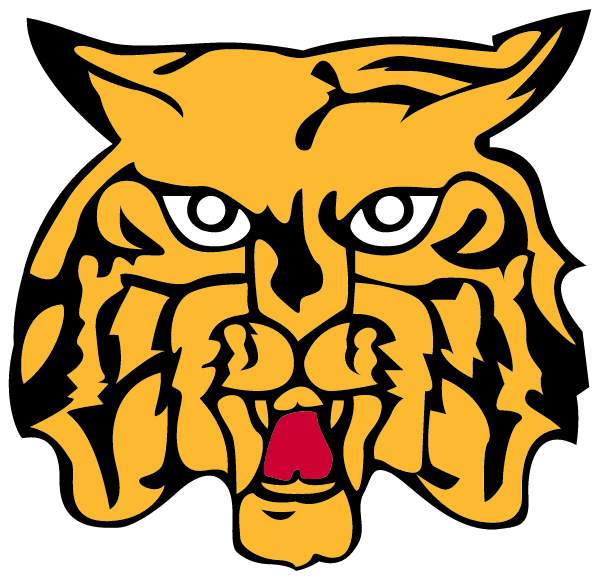 SAINT JAMES HIGH SCHOOL Logo