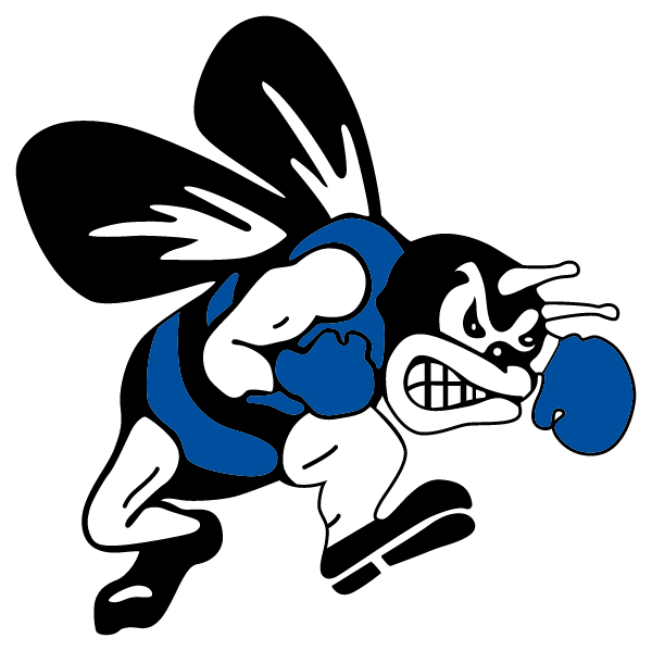 BATH HIGH SCHOOL Logo