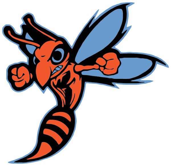 SOUTH GIBSON COUNTY HIGH SCHOOL Sideline Store Hornets (MEDINA, TENNESSEE) Spirit Apparel & Accessories Store